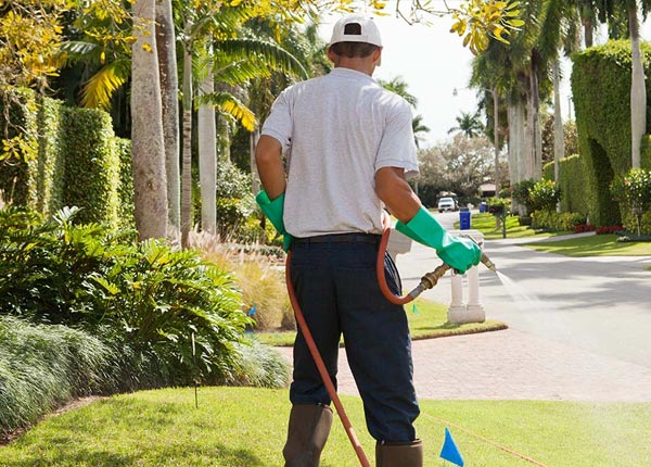 About Fort Edward NY Pest Control
